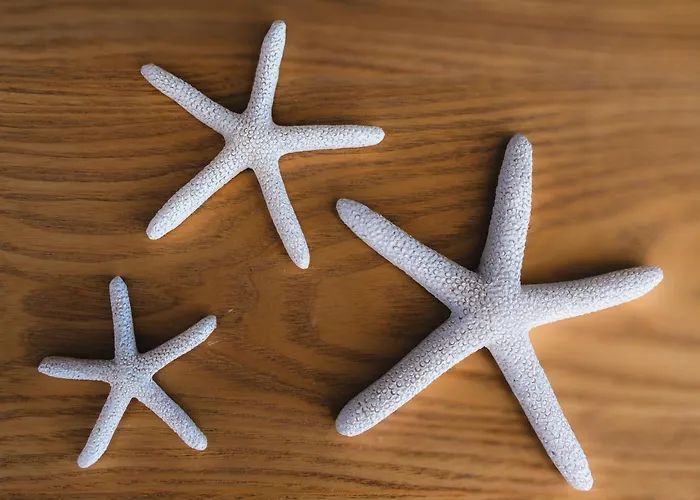 Oasis Mar Pool View Apartment Portimao