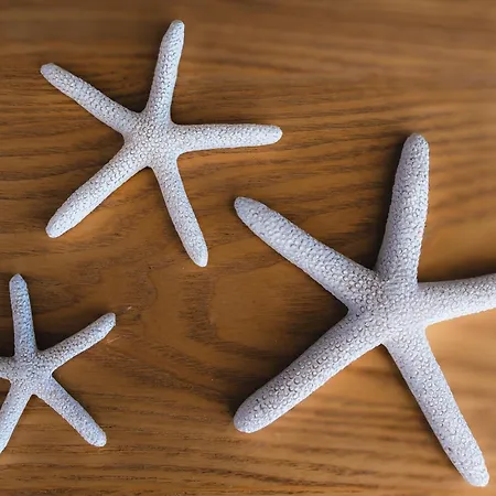 Oasis Mar Pool View Διαμέρισμα Portimão